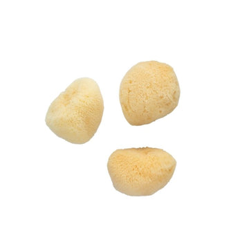 Facial Sea Sponge
