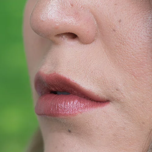 Frosted Plum Lipstick